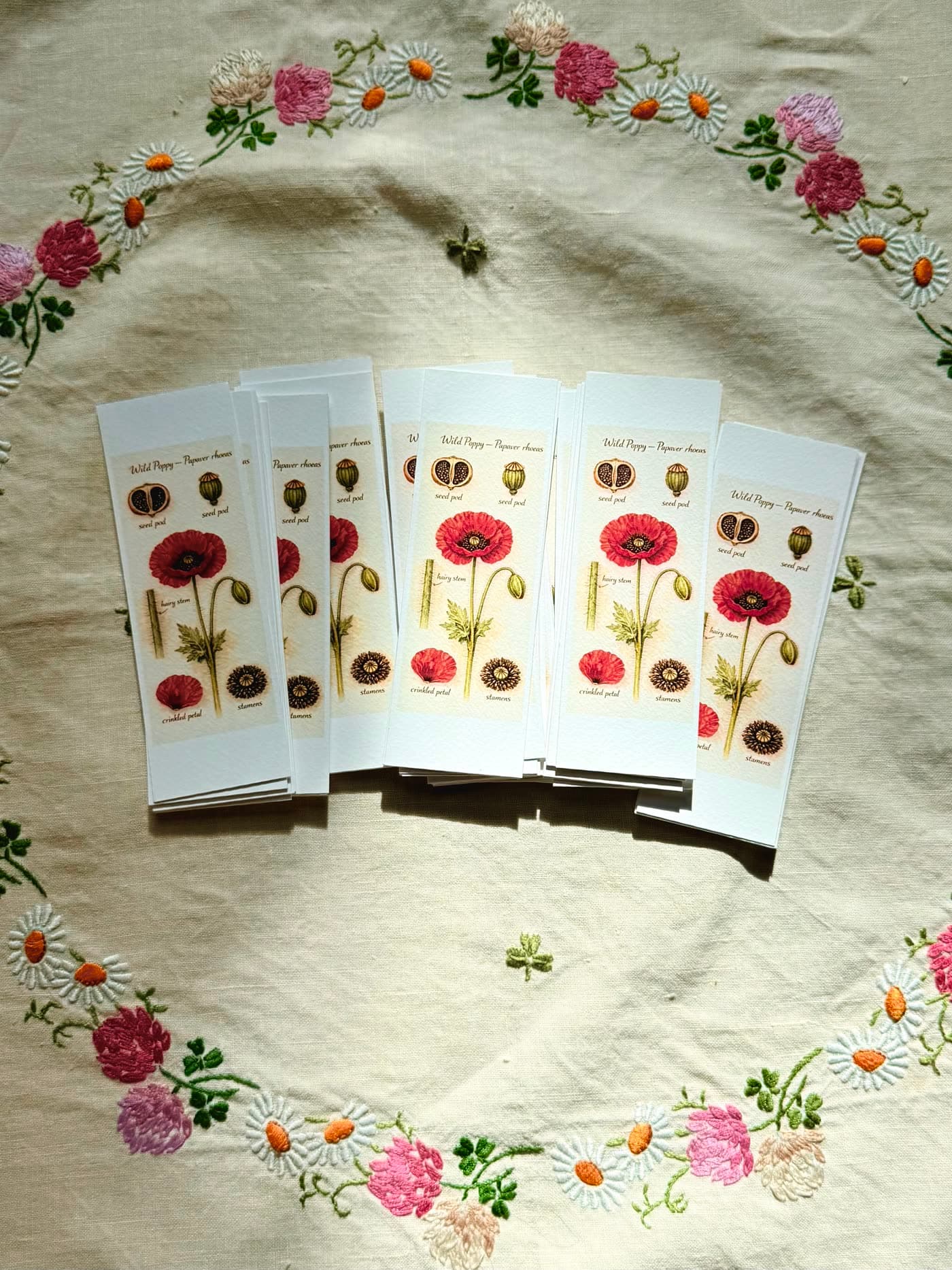 A field-guide style bookmark of Wild Poppy — Papaver rhoeas — showing seed pods, flower, hairy stem, crinkled petal, and stamens, each labelled like an old botanical study.