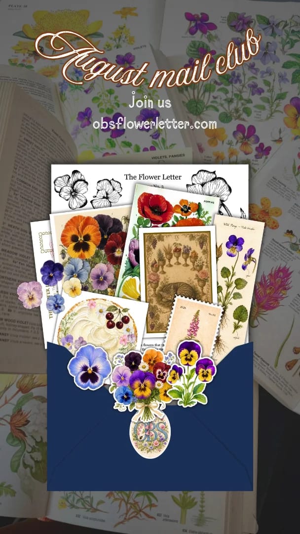 The Flower Letter envelope, opened to show the pressed-flower letter inside